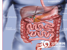 高科技產品重塑生活，體驗前沿魅力，探索腸鳴最新技術