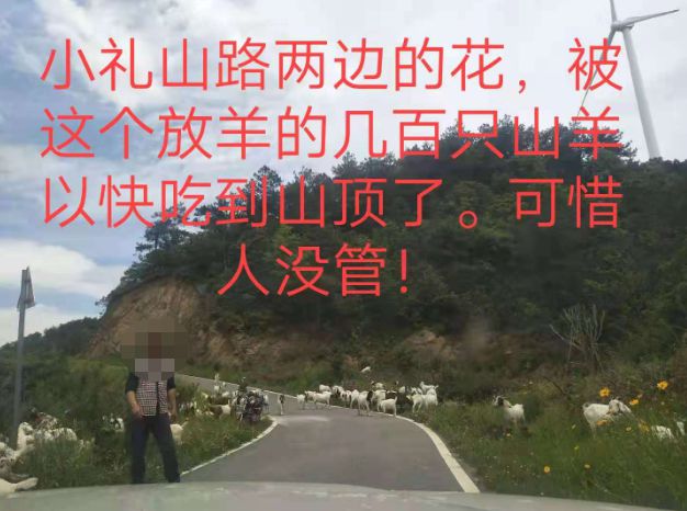 大悟最新路，探索未知，自信成就夢想之旅的啟程