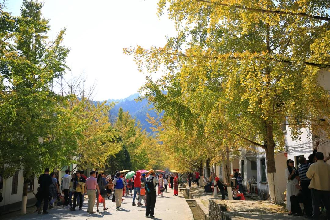 南雄最新現(xiàn)狀，科技前沿產(chǎn)品引領(lǐng)未來(lái)生活發(fā)展