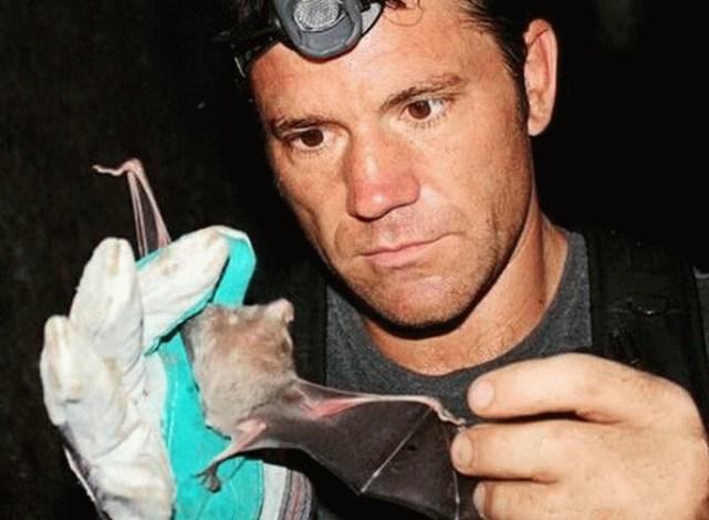 蝙蝠最新電影，自信與成長的翅膀，勵志翱翔天空之旅