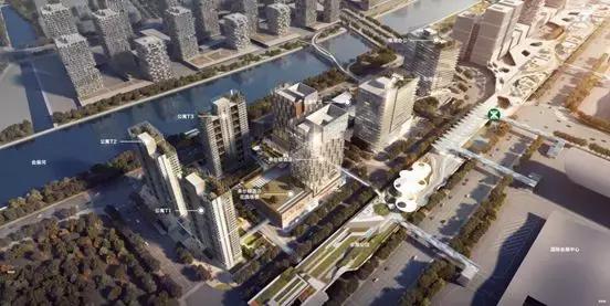 新中港最新動態(tài)，時代的新航標(biāo)已啟航