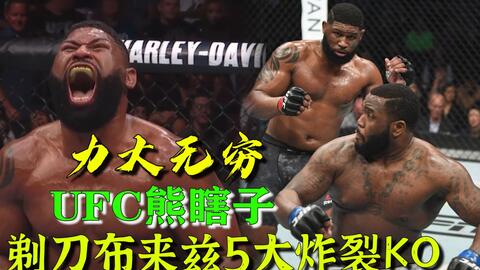 小菊最新比賽，友誼與夢想的絢爛綻放