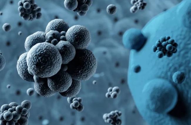 病毒擴(kuò)散最新情況，自然探險之旅尋求內(nèi)心平和之地