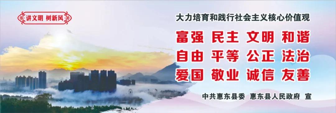 惠州肺炎最新動態(tài)，小巷深處的獨特小店背后的故事