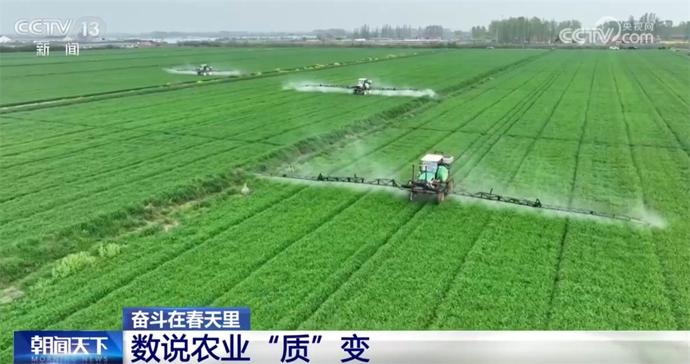 最新農(nóng)業(yè)農(nóng)村發(fā)展，播種希望，收獲自信與成就感