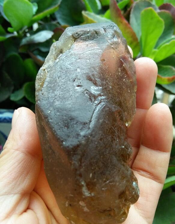 最新鑒定法，揭示友情的印記與家的溫馨