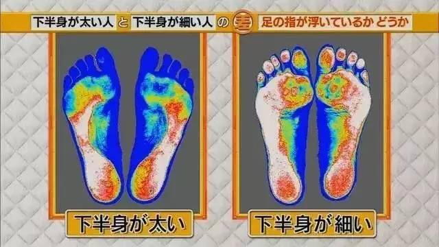 最新地趾論述，探索、爭議與觀點綜述