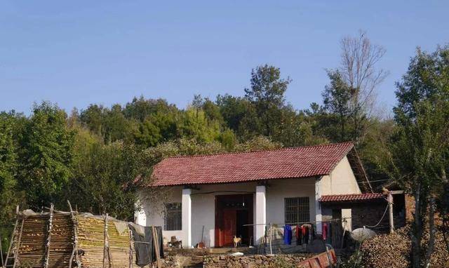 新時(shí)代田園生活揭秘，鄉(xiāng)村農(nóng)村的最新風(fēng)貌與體驗(yàn)