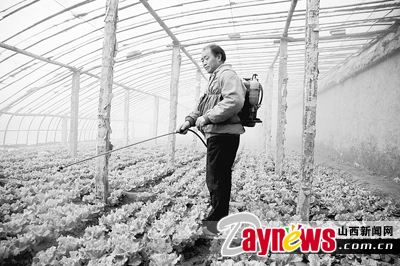 最新農(nóng)藥抽檢結果出爐，守護農(nóng)田安全，你我他的共同責任