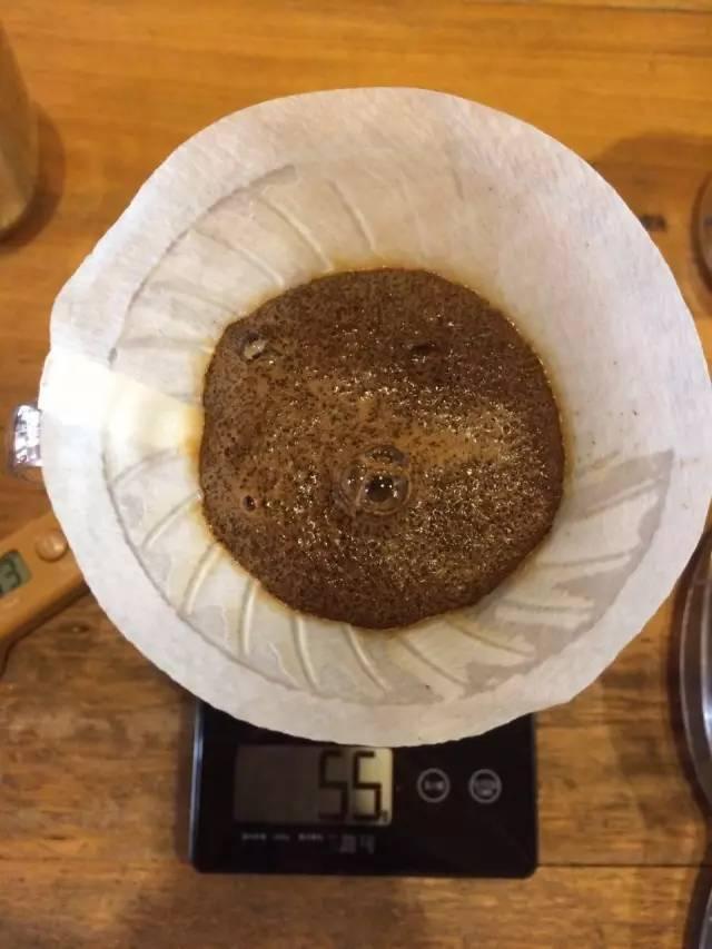 最新萃取法詳解，步驟指南與操作技巧