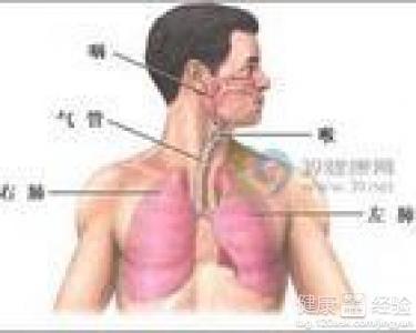 咸豐肺炎最新全面指南與詳解，癥狀、治療、步驟解析