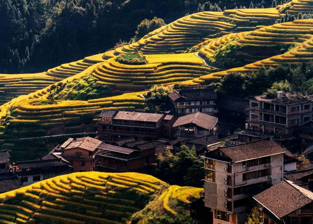 金秋天最新時(shí)尚潮流，獨(dú)特風(fēng)情展現(xiàn)魅力風(fēng)采