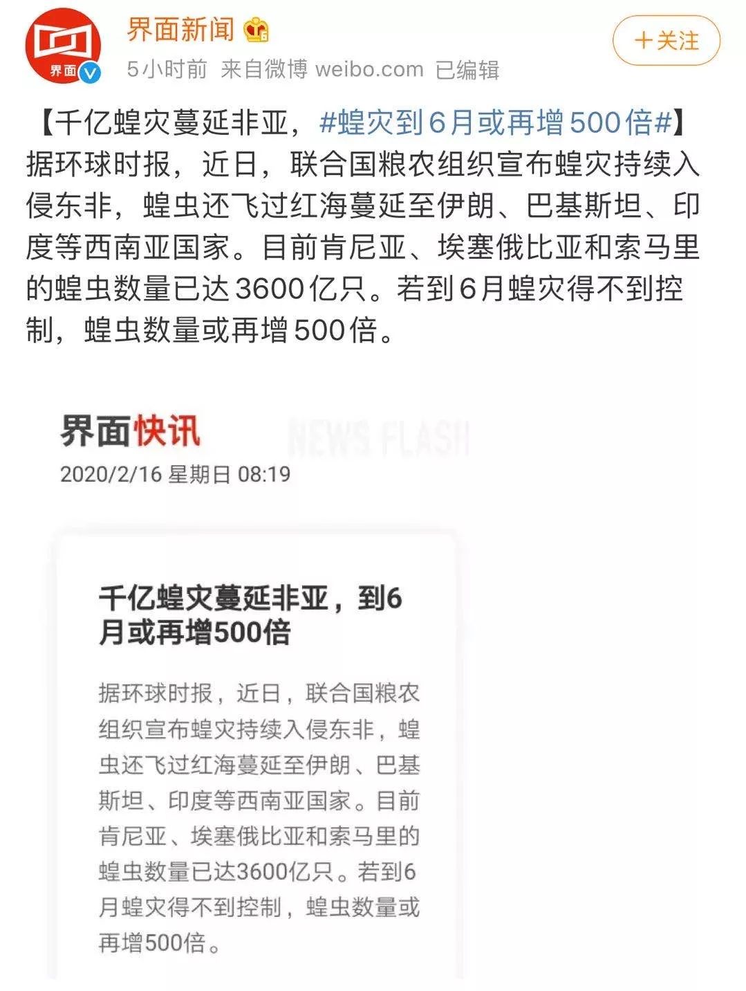 世界蝗災(zāi)最新動(dòng)態(tài)，探索自然美景的輕松之旅