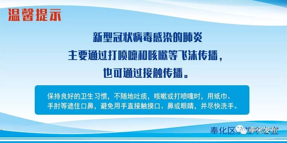 余姚最新確診背后的自然探索之旅，重拾心靈寧靜與平和
