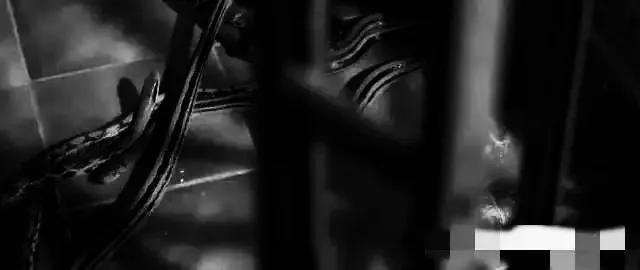 香港最新房?jī)r(jià)趨勢(shì)展望，2025年分析與展望