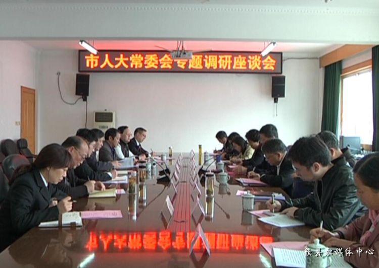 安徽歙縣最新動態(tài)，小巷深處的驚喜