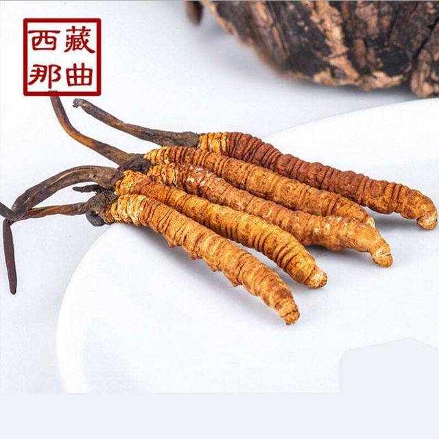 揭秘2025年蟲草最新價格，探尋小巷中的秘密行情！