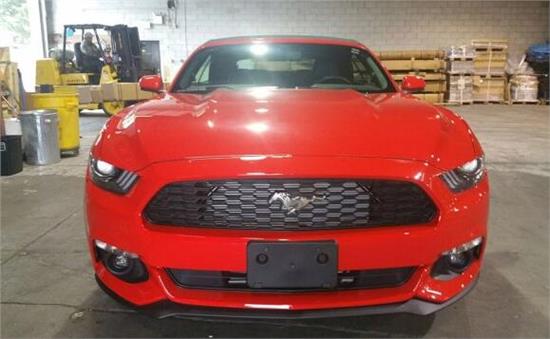 威路德最新款，小巷中的驚喜發(fā)現(xiàn)