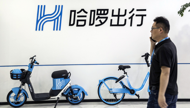 哈啰最新動態(tài)，擁抱自然美景的治愈之旅