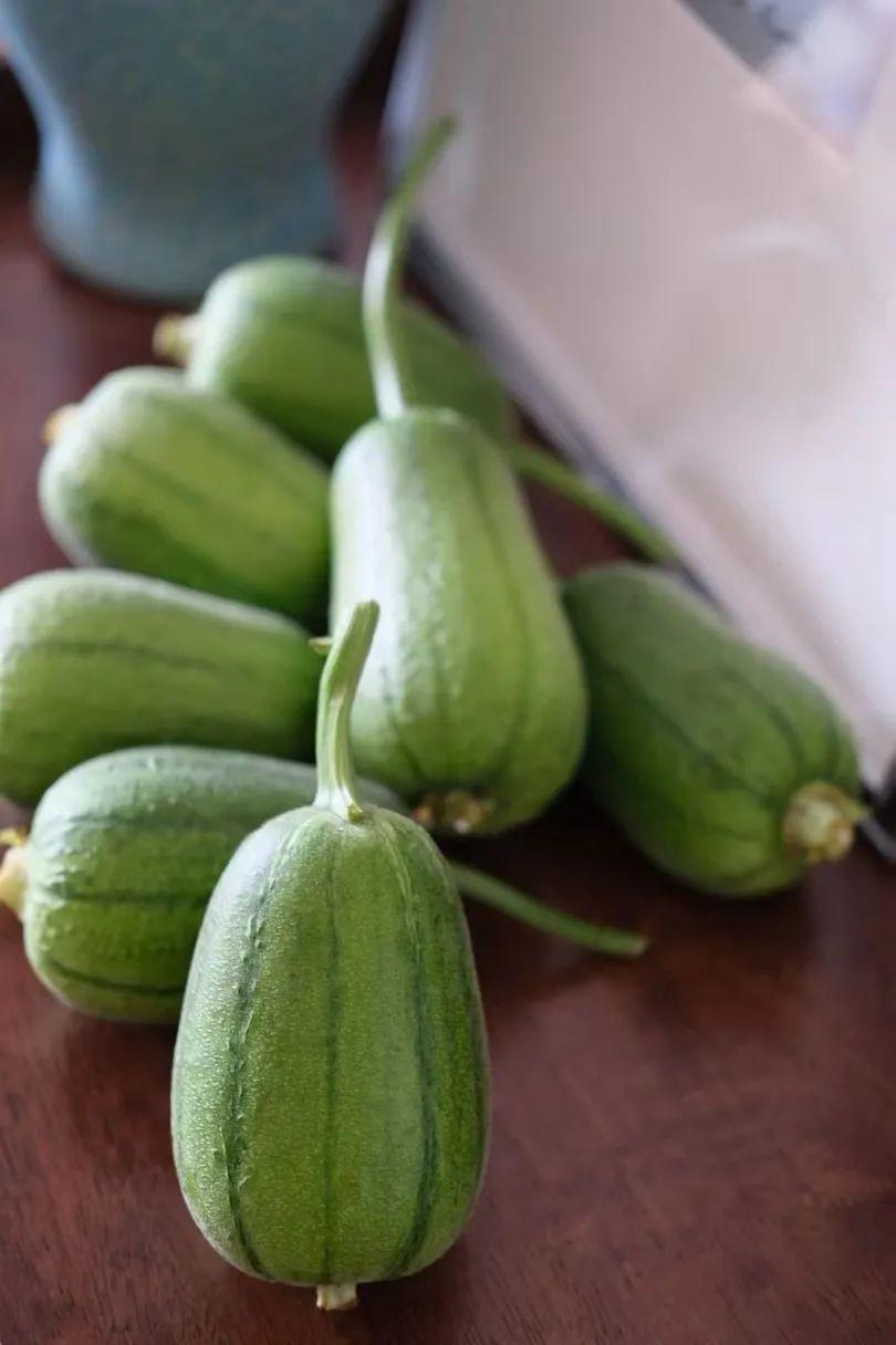 蘋果絲瓜最新版，全新升級魅力體驗