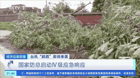 超強(qiáng)臺(tái)風(fēng)鸚鵡來(lái)襲，最新路徑動(dòng)態(tài)全解析???