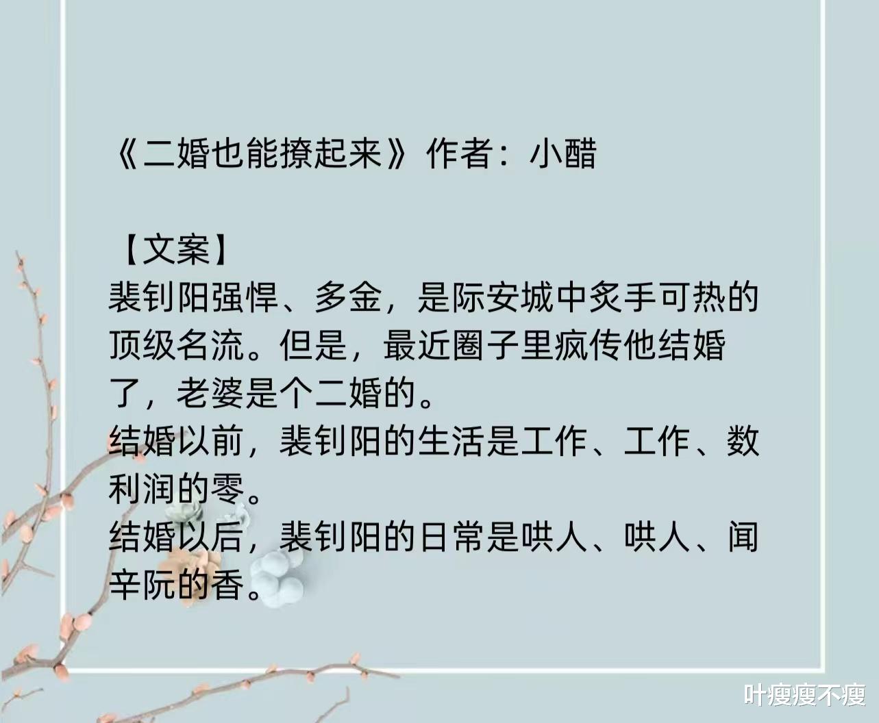 最新二婚小說(shuō)，小巷深處的浪漫故事