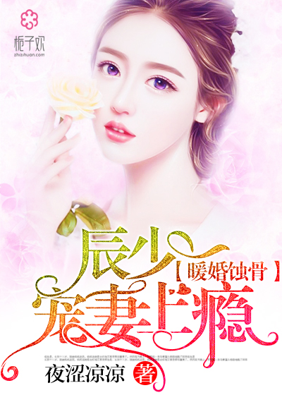 陸少寵上癮最新動態(tài)，日常趣事與真摯友情的獨特魅力