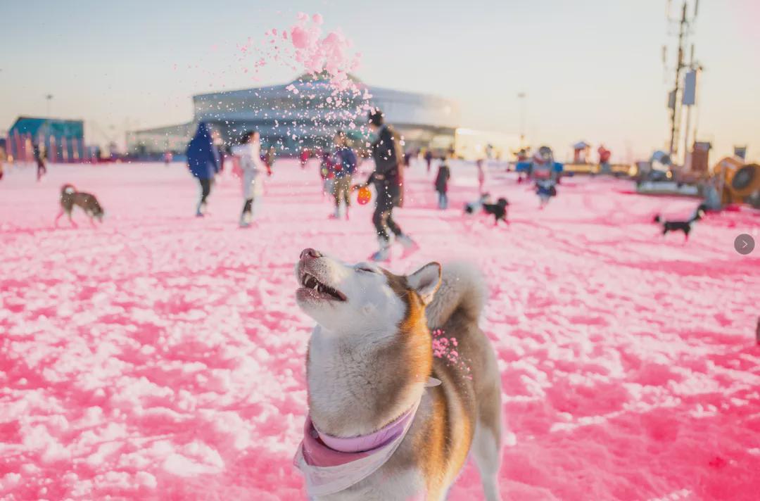 小信的世界最新科技前沿產(chǎn)品亮相，生活變革從此刻啟程