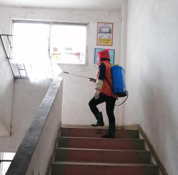 蓬江區(qū)最新高科技住宅，重塑未來生活體驗的首選之地